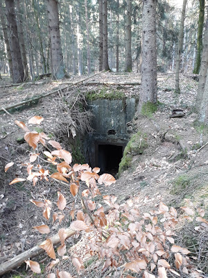 Erbsenthal à Sturzelbronn