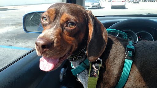 Pet Supply Store «Pet Supplies Plus», reviews and photos, 911 N Cable Rd a, Lima, OH 45805, USA