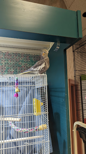 Pet Supply Store «Living Things», reviews and photos, 3437 PA-309, Orefield, PA 18069, USA