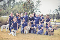 Dog Days & Cat Naps Pet Sitting & Dog Walking - Photo 3 - Car repair in , Jacksonville