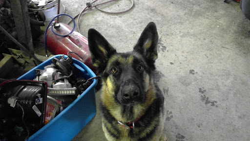 Used Auto Parts Store «Camaro Heaven / Drew Auto Parts», reviews and photos, 112 Clark Rd, Tilton, NH 03276, USA