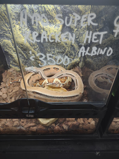 Reptile Store «CV Exotics», reviews and photos, 320 Sandown Rd, East Hampstead, NH 03826, USA