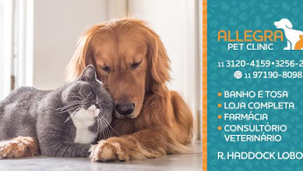 Allegra Pet Clinic Cerqueira César São Paulo SP