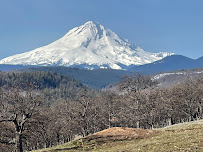 Pure Yoga Teacher Training - Photo 5 - Car repair in , Portland