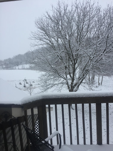 Electrician «Mr. Electric», reviews and photos