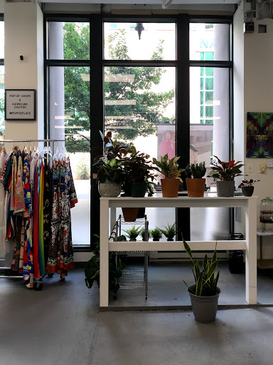 Wholesale Florist «Urban Jungle», reviews and photos, 2603 Sherman Ave NW, Washington, DC 20001, USA