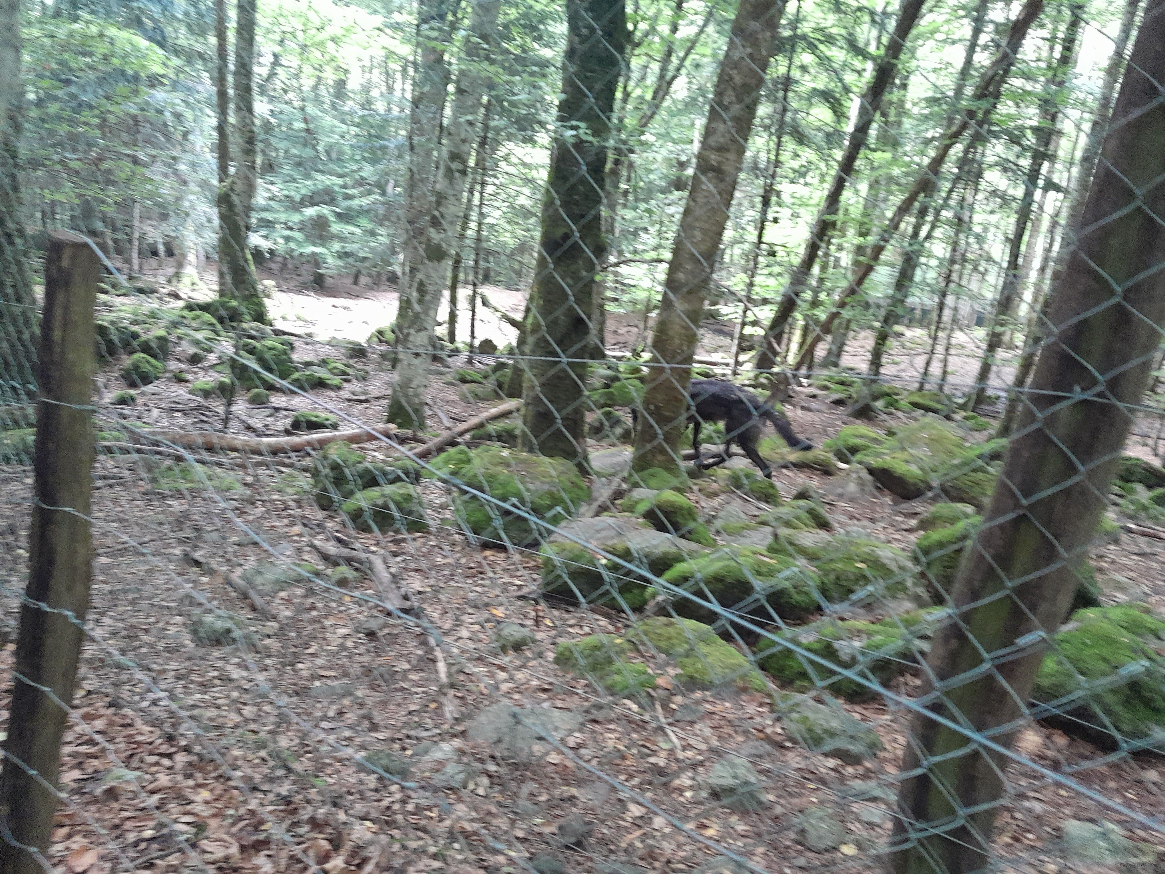 Photo n° 3 de l'avis de Nessy.O fait le 16/08/2022 à 12:33