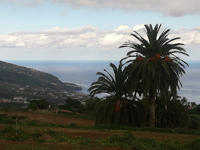 Hacienda El Reventón Cam. el Reventón, 38, 38710, Santa Cruz de Tenerife, España