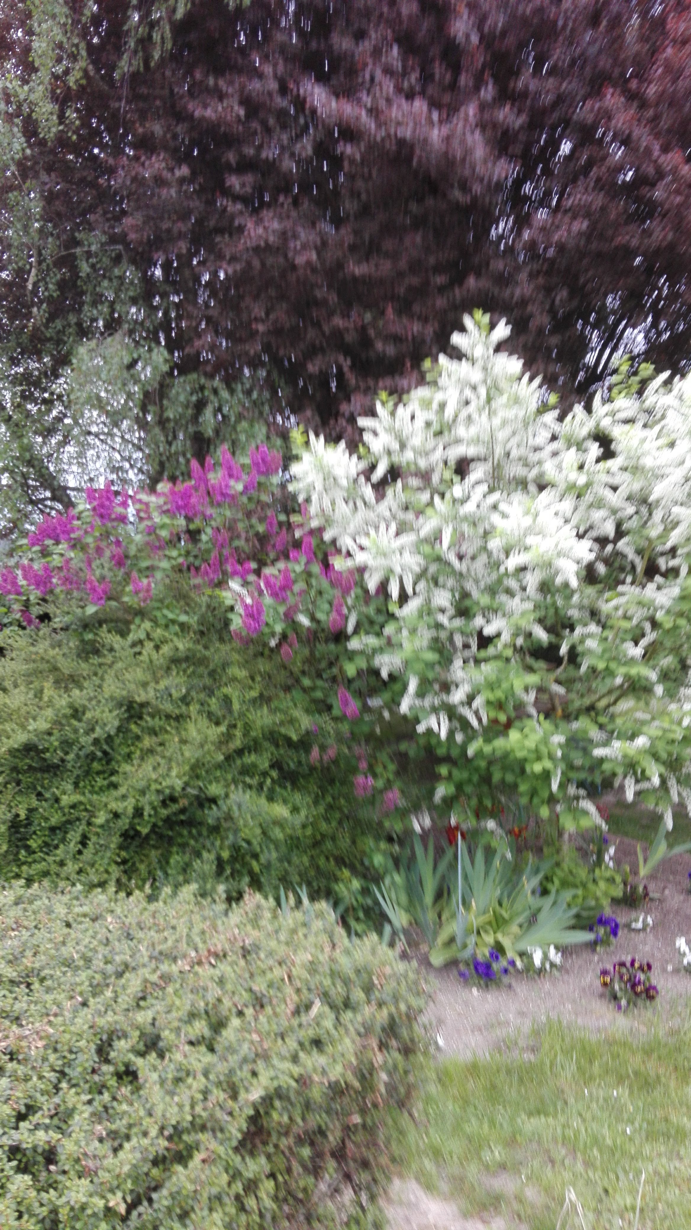 Photo n° 1 de l'avis de Jean.a fait le 26/04/2018 à 10:06