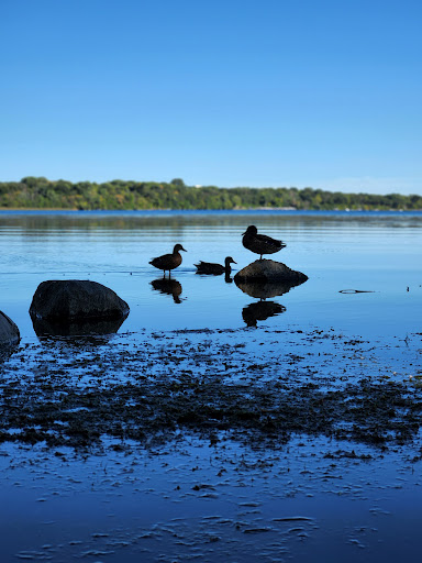 Park «French Regional Park», reviews and photos, 12605 Rockford Rd, Plymouth, MN 55441, USA