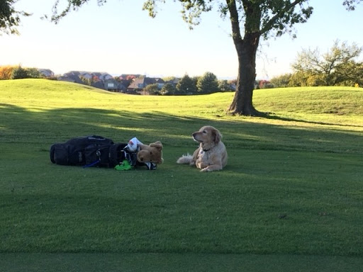Public Golf Course «Battle Creek Golf Club», reviews and photos, 3200 North Battlecreek Dr W, Broken Arrow, OK 74012, USA
