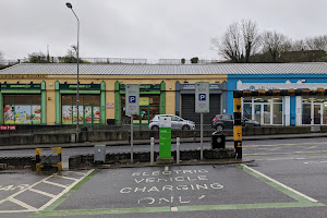 ESB Charging Station