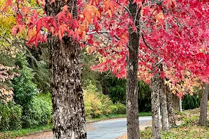 Woodinville Park & Ride image