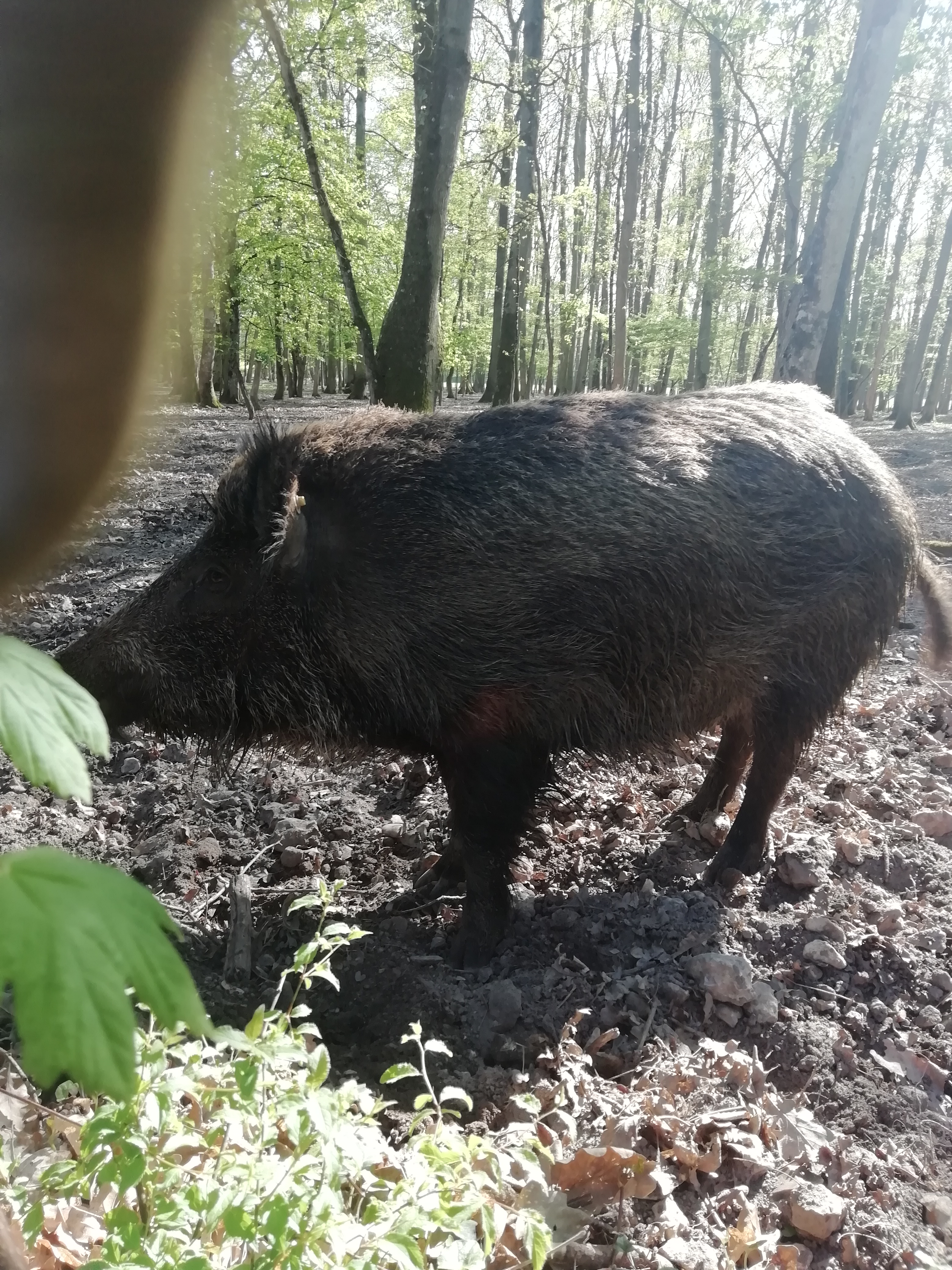 Photo n° 1 de l'avis de Flo.e fait le 07/05/2019 à 06:16