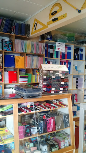Opiniones de Librería y Fotocopias Rayün en Castro - Librería