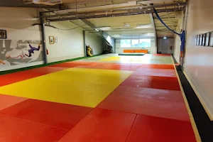 Åkersberga judoklubb image