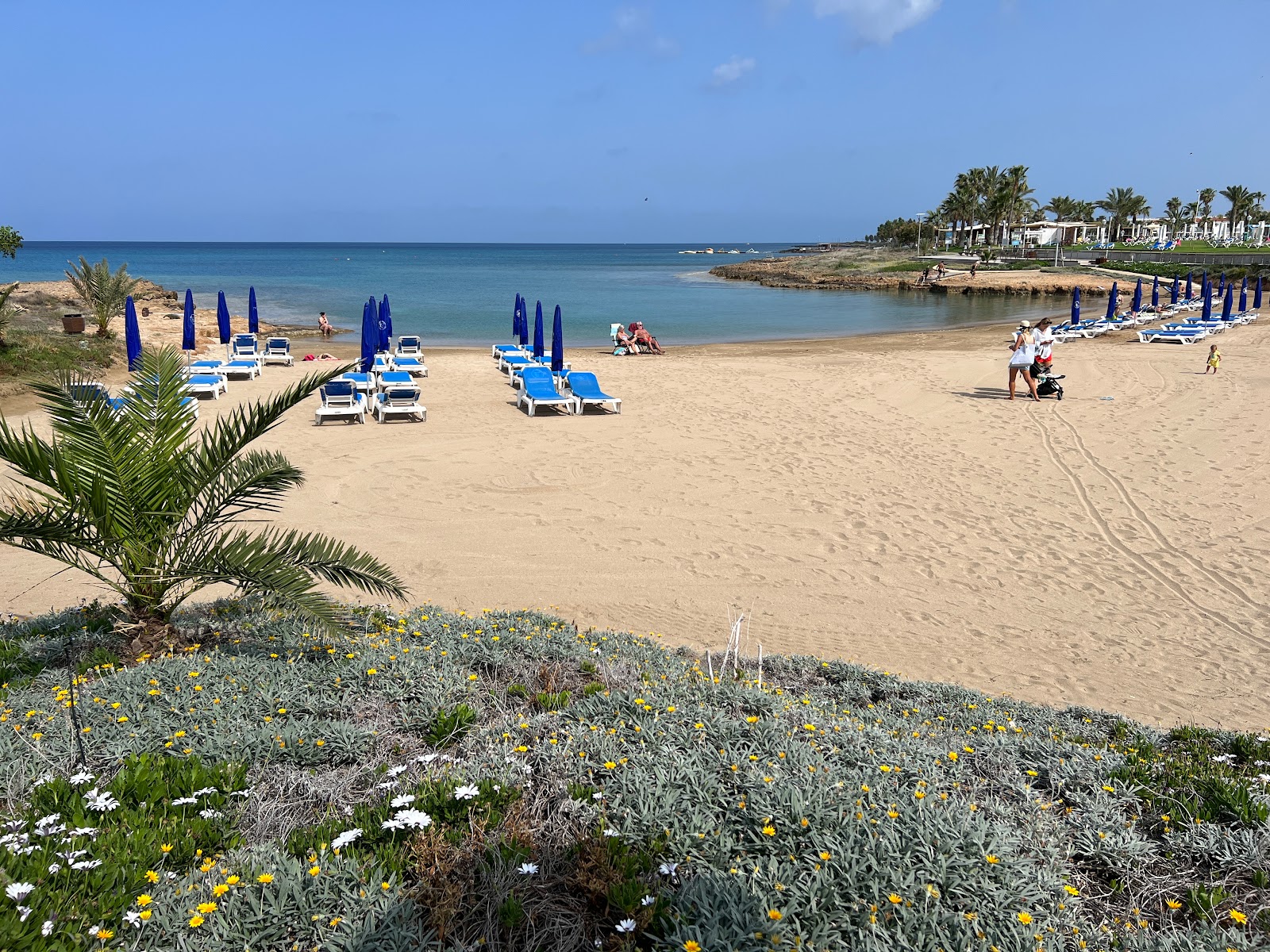 Polyxenia Beach photo #9