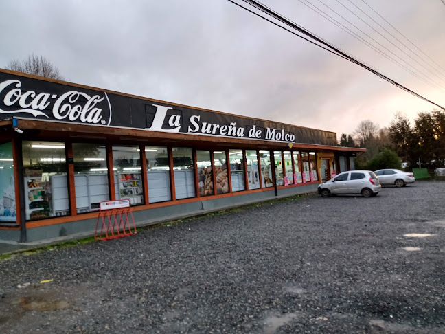Opiniones de Almacén La Sureña De Molco en Villarrica - Tienda de ultramarinos