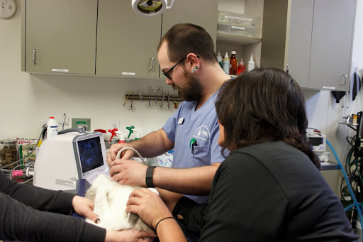 1800 Queen Anne Ave N, Seattle, WA 98109, USA