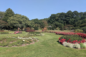 Tidewater Arboretum