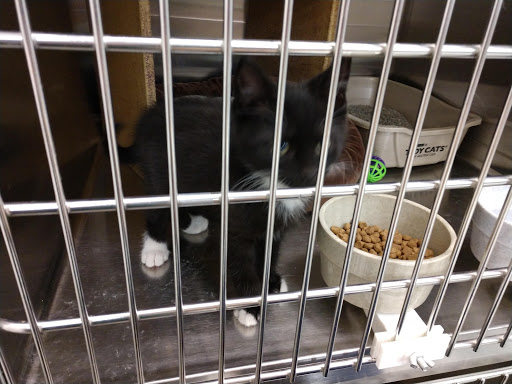 Pet Supply Store «PetSmart», reviews and photos, 12264 Chattanooga Plaza, Midlothian, VA 23112, USA