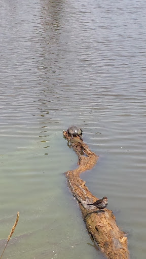 Nature Preserve «Rollins Savanna Forest Preserve», reviews and photos, 20160 W Washington St, Grayslake, IL 60030, USA