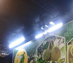 Billy Durian photo