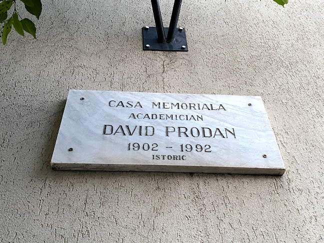 Opinii despre Muzeul memorial Academician David Prodan în <nil> - Muzeu