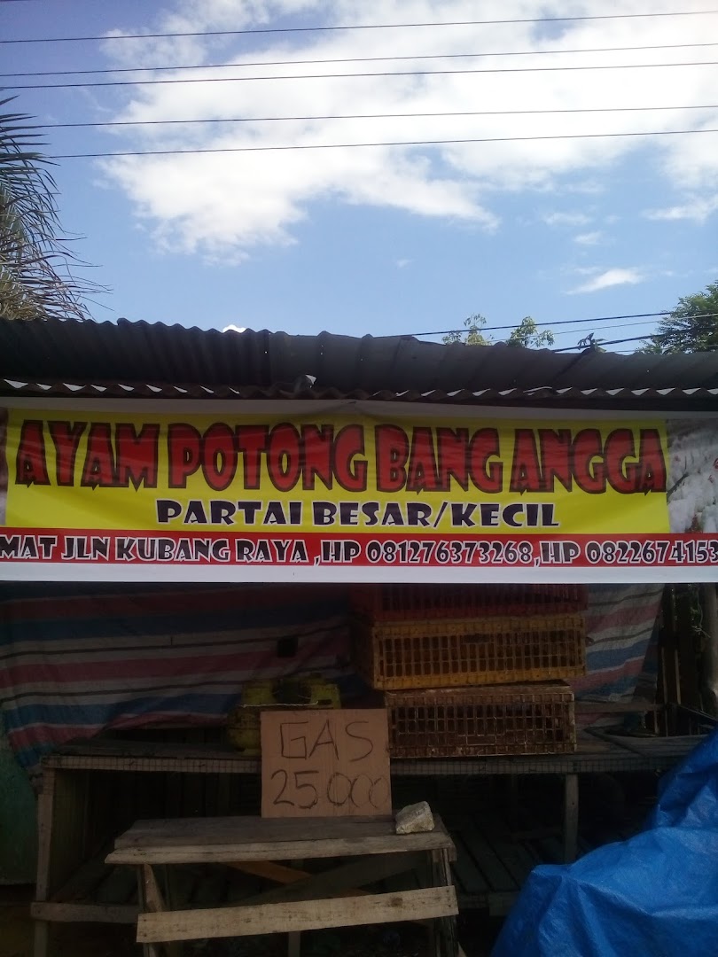 Ayam Potong Bang Angga Photo
