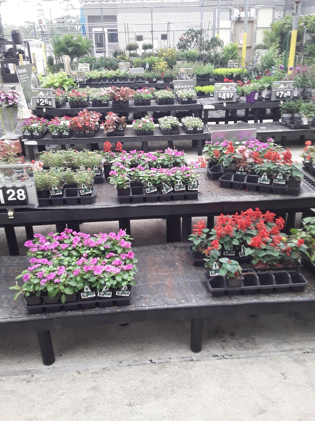 Arno Enterprises Bayou Foodmrt