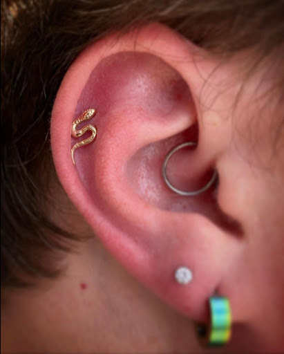 Explore ravenhood tattoo ideas, creative tattoo ideas in Kissimmee, available at Ol Skool Tattoos Studio