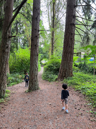 Nature Preserve «Tacoma Nature Center», reviews and photos, 1919 S Tyler St, Tacoma, WA 98405, USA
