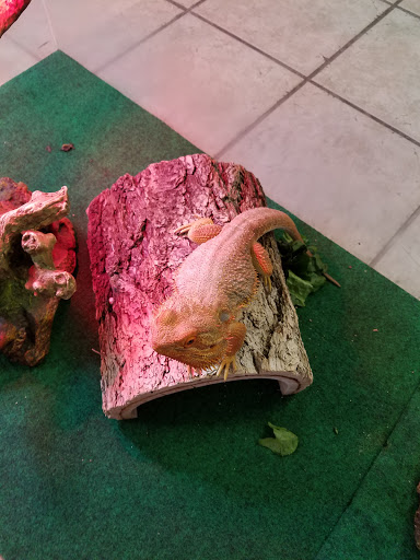 Pet Store «Fish Bowl Pets», reviews and photos, 1013 Hope St, Stamford, CT 06907, USA