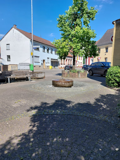 Dr.med.vet. Barbara Wirth Tierärztin unter Zweibrücken, 