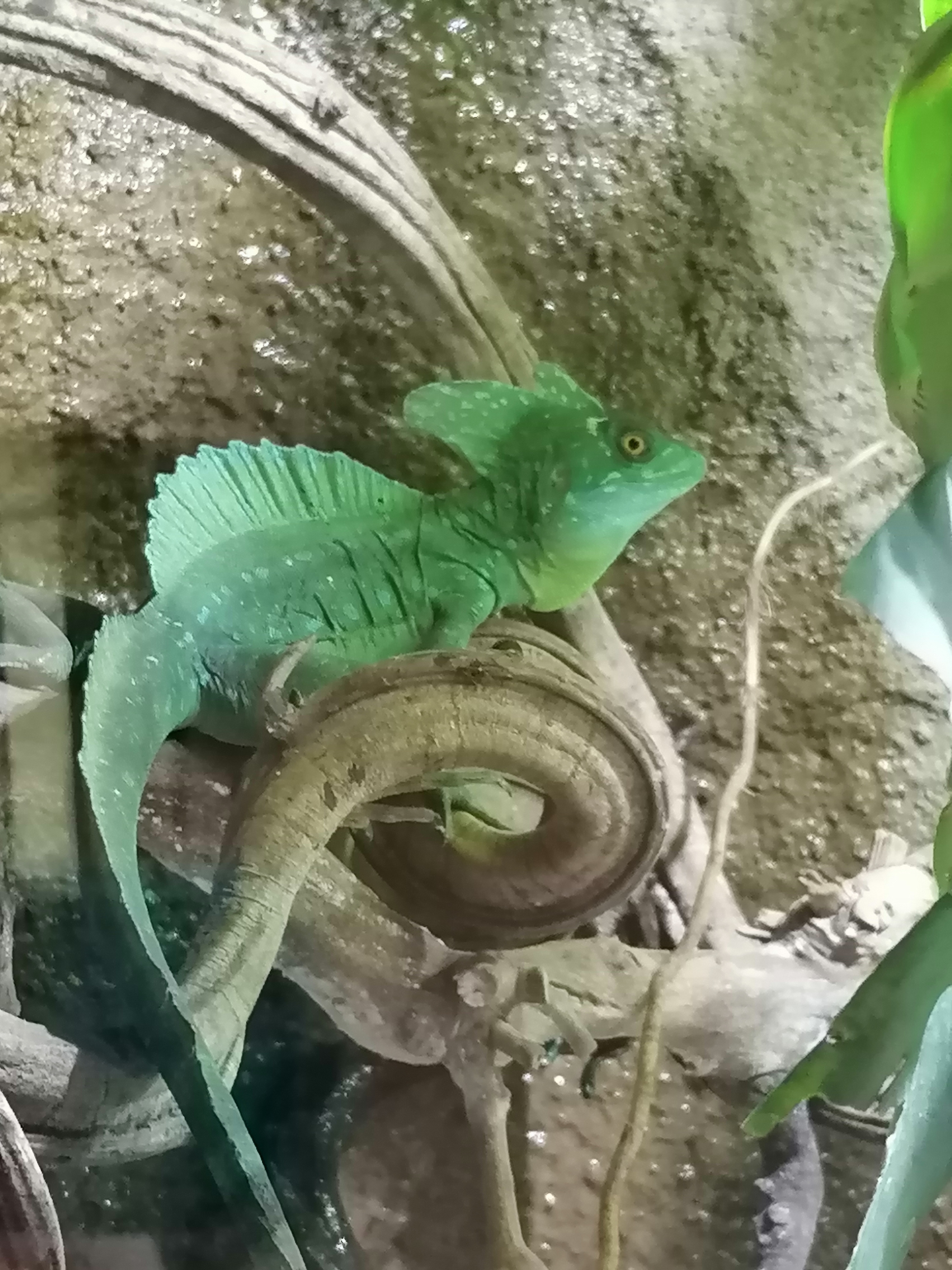 Photo n° 2 de l'avis de helice. fait le 01/11/2021 à 15:48