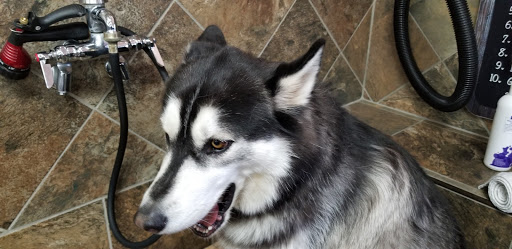 Pet Supply Store «Pet Valu», reviews and photos, 3563 Washington Rd, Canonsburg, PA 15317, USA