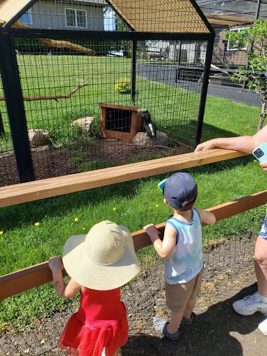 Zoo «Hemker Park & Zoo», reviews and photos, 26715 County Road 39, Freeport, MN 56331, USA