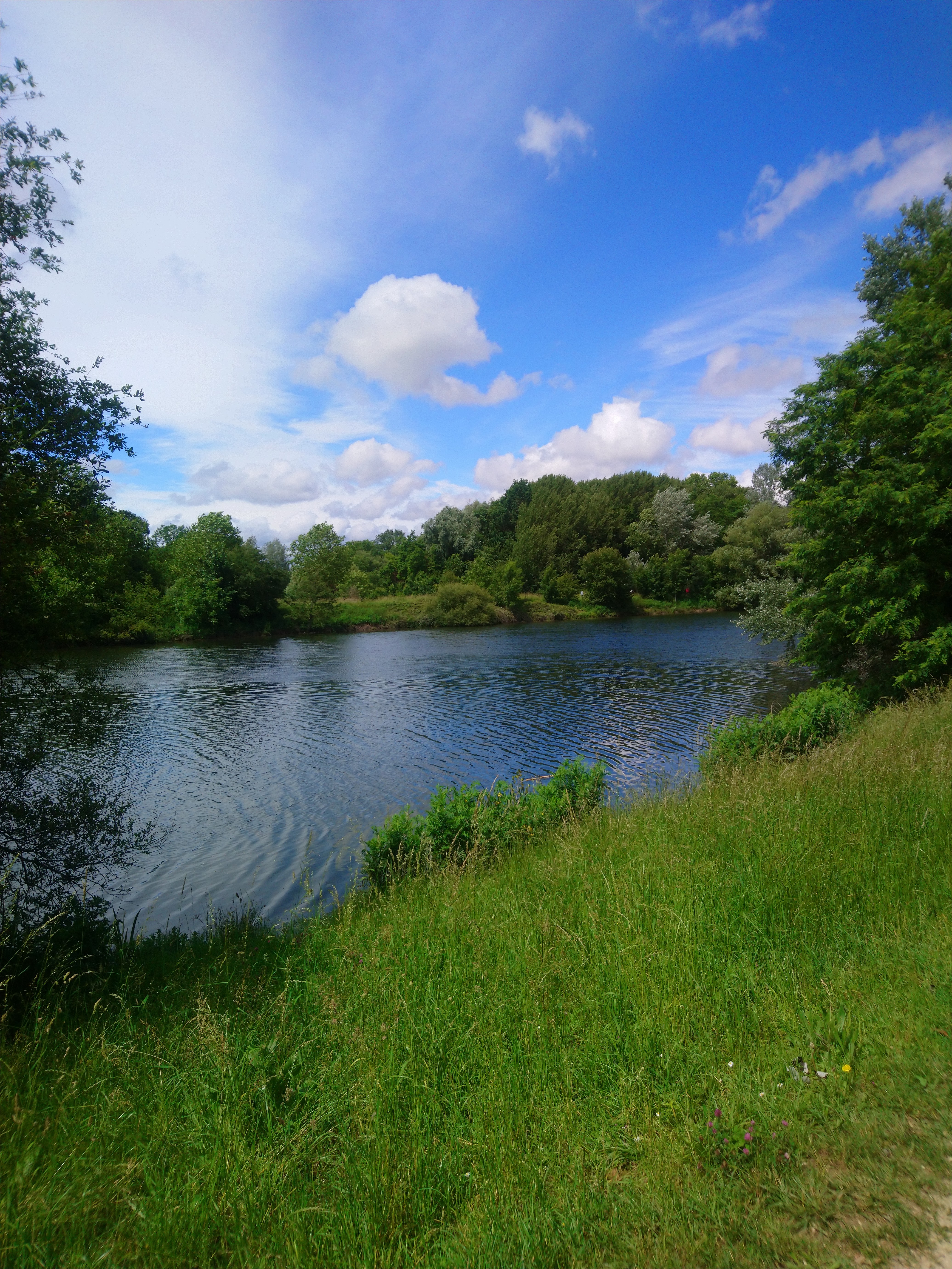 Photo n° 22 de l'avis de Lucien.e fait le 10/06/2019 à 14:26