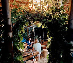 Hotel Jungle Vista photo
