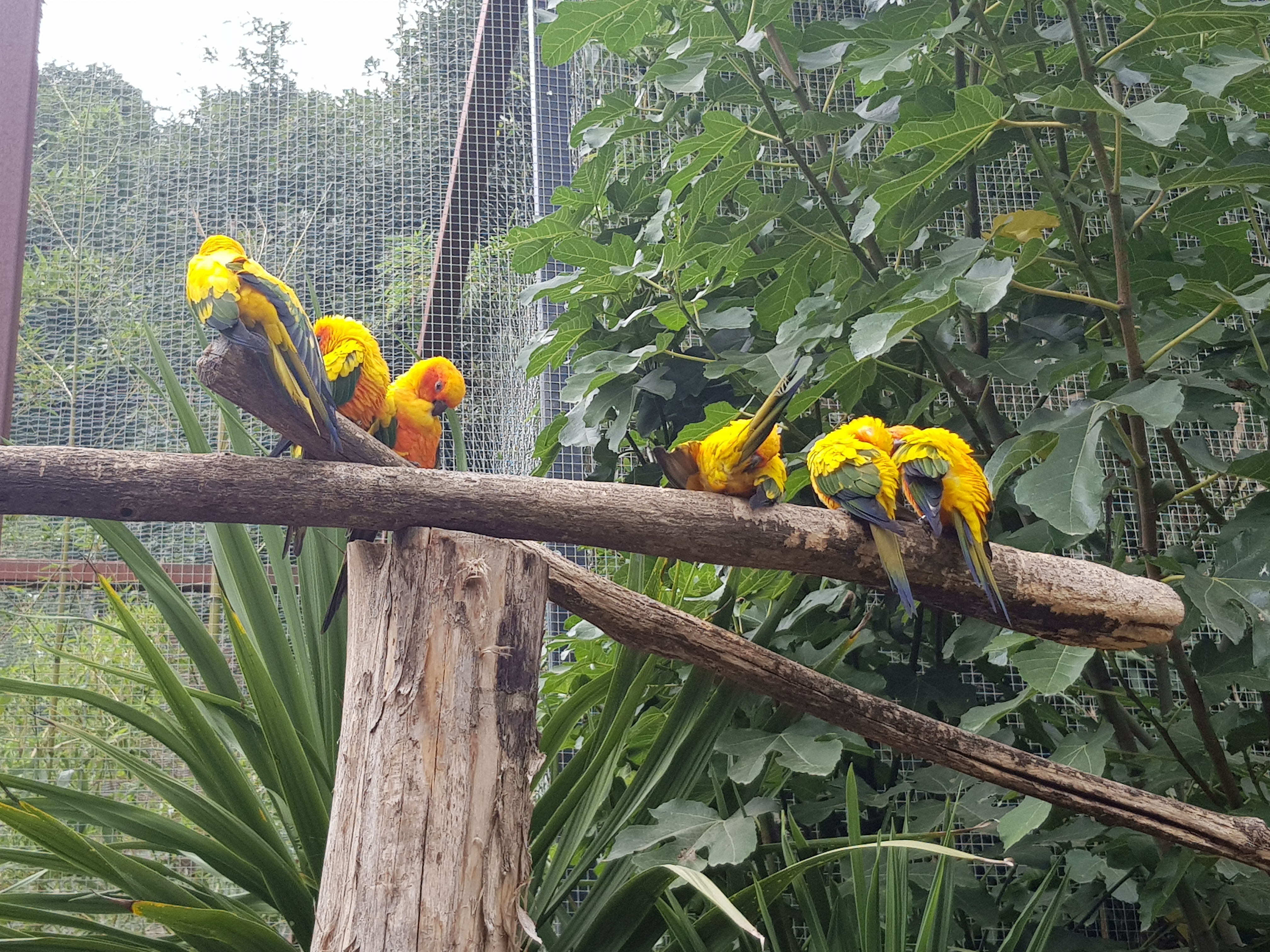 Photo n° 6 de l'avis de King.t fait le 15/09/2021 à 12:05