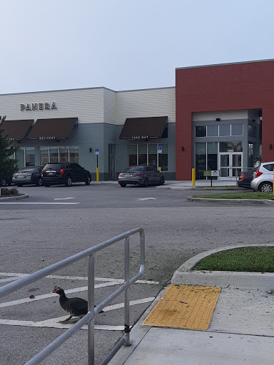 Sandwich Shop «Panera Bread», reviews and photos, 2493 Northeast 9th Court, Homestead, FL 33033, USA