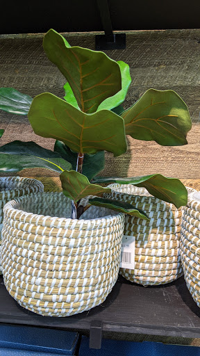 Garden Center «Pike Nurseries», reviews and photos, 615 W Crossville Rd, Roswell, GA 30075, USA