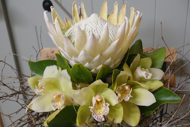 Reviews of Joanne Richards Design: Interiors: Flowers in Nelson - Interior designer