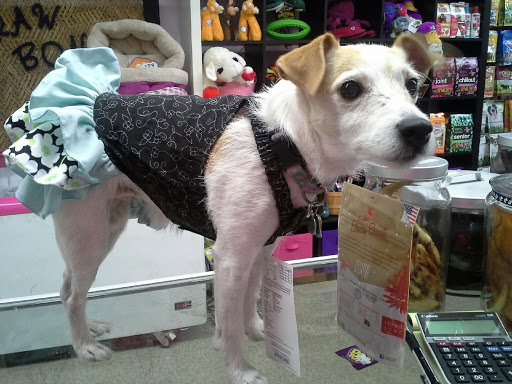 Pet Supply Store «Haute Dogs Boutique & Barkery», reviews and photos, 507 Georgia St, Vallejo, CA 94590, USA