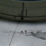 Photo n°4 de l'avis de Criss.r fait le 29/08/2016 à 08:00 sur le  FischerS Hotel&Restaurant / Kurparkhotel à Kassel