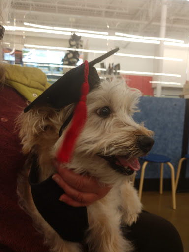 Pet Supply Store «PetSmart», reviews and photos, 4061 Miller Rd, Flint, MI 48507, USA