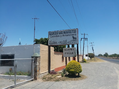 Rancho Los Magueyes (Pulqueria)