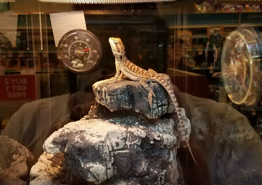 Pet Supply Store «PetSmart», reviews and photos, 220 Commerce Blvd, Fairless Hills, PA 19030, USA