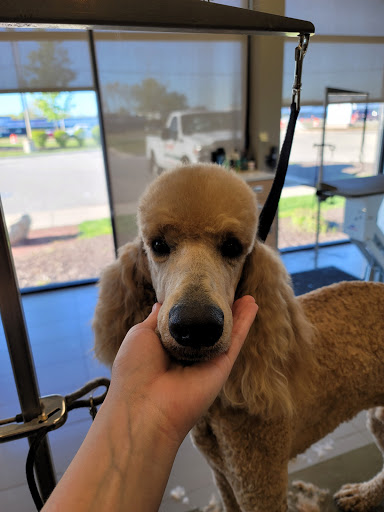 Pet Supply Store «Petco Animal Supplies», reviews and photos, 5925 US-6, Portage, IN 46368, USA