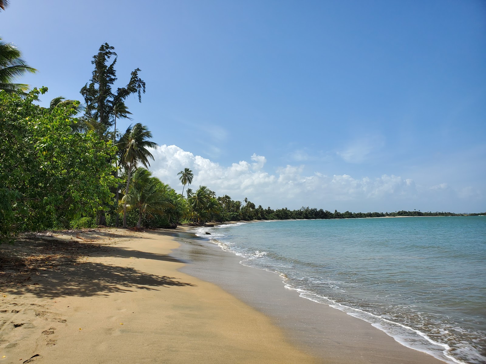 Zdjęcie Punta Salinas beach - popularne miejsce wśród znawców relaksu